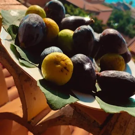 Dolce Vita Mia Holiday home Giardini Naxos